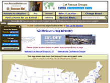 Tablet Screenshot of cat.rescueshelter.com