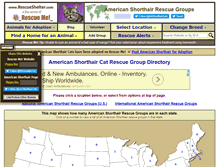 Tablet Screenshot of americanshorthair.rescueshelter.com