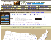 Tablet Screenshot of britishshorthair.rescueshelter.com