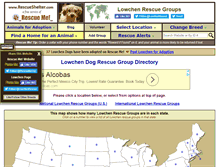 Tablet Screenshot of lowchen.rescueshelter.com