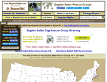 Tablet Screenshot of englishsetter.rescueshelter.com