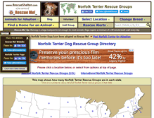 Tablet Screenshot of norfolkterrier.rescueshelter.com
