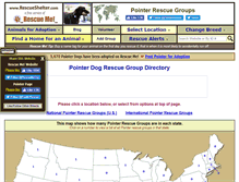 Tablet Screenshot of pointer.rescueshelter.com
