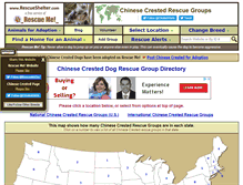 Tablet Screenshot of chinesecrested.rescueshelter.com