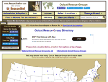 Tablet Screenshot of ocicat.rescueshelter.com