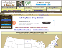 Tablet Screenshot of lab.rescueshelter.com