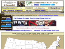Tablet Screenshot of flatcoatedretriever.rescueshelter.com