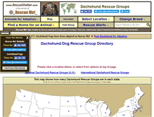Tablet Screenshot of dachshund.rescueshelter.com