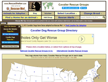 Tablet Screenshot of cavalier.rescueshelter.com