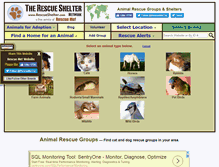 Tablet Screenshot of animal.rescueshelter.com